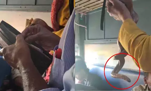 Ahmedabad: ट्रेन में शख्स ने सांप के जरिए यात्रियों से पैसे वसूले Ahmedabad: ट्रेन में शख्स ने सांप के जरिए यात्रियों से पैसे वसूले