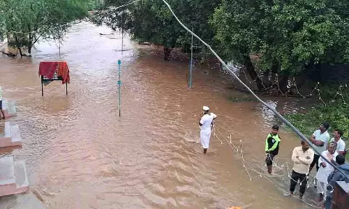 Dharashiv flood: 92 गांव प्रभावित, लगभग 63,000 हेक्टेयर फसलें बर्बाद Dharashiv flood: 92 गांव प्रभावित, लगभग 63,000 हेक्टेयर फसलें बर्बाद
