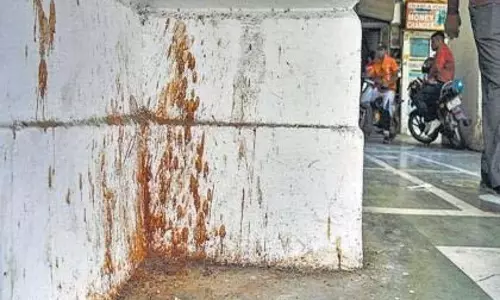 सड़कों पर स्प्रे करने पर 7 करोड़ रुपये का जुर्माना, 1 लाख लोगों पर जुर्माना
