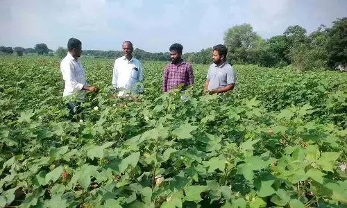 फसल की खेती का विवरण पंजीकृत किया जाना चाहिए: Avo Naresh फसल की खेती का विवरण पंजीकृत किया जाना चाहिए: Avo Naresh