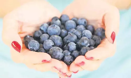 blueberry से कोई चिंता नहीं
