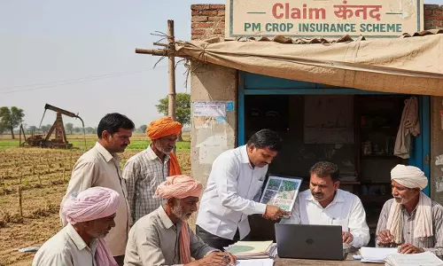 पीएम फसल बीमा में लाखों रुपए का फर्जीवाड़ा, केला की फसल को चना दिखाकर लिया मुआवजा
