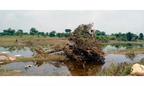 महाराष्ट्र में भारी बारिश, NDRF ने मराठवाड़ा जिलों में 300 से अधिक लोगों को बचाया महाराष्ट्र में भारी बारिश, NDRF ने मराठवाड़ा जिलों में 300 से अधिक लोगों को बचाया