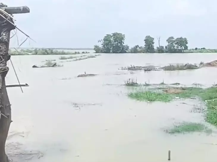 Farrukhabad: जलस्तर घटने से बाढ़ प्रभावित इलाकों में सुधार Farrukhabad: जलस्तर घटने से बाढ़ प्रभावित इलाकों में सुधार
