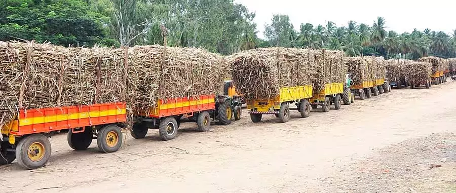 मालाप्रभा शुगर फैक्ट्री चुनाव: 15 निदेशक पदों के लिए 44 उम्मीदवार मालाप्रभा शुगर फैक्ट्री चुनाव: 15 निदेशक पदों के लिए 44 उम्मीदवार
