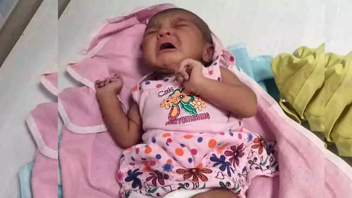 Dhar: चाय की दुकान पर लावारिस शिशु मिला, विशेष देखभाल में Dhar: चाय की दुकान पर लावारिस शिशु मिला, विशेष देखभाल में