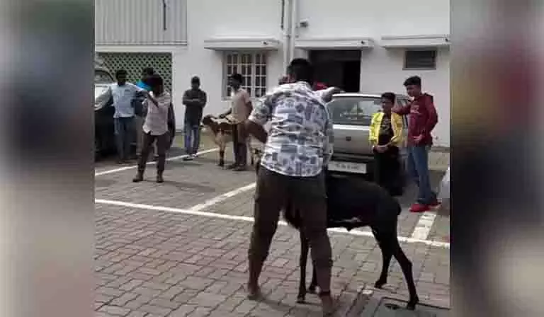 CHENNAI: इंस्टाग्राम पर राम की लड़ाई के विज्ञापन से पशु क्रूरता विवाद छिड़ा CHENNAI: इंस्टाग्राम पर राम की लड़ाई के विज्ञापन से पशु क्रूरता विवाद छिड़ा