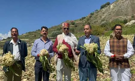 आपदा प्रभावित लाहौल घाटी का जयराम ठाकुर ने किया दौरा, प्रशासनिक व्यवस्था पर सवाल उठाए आपदा प्रभावित लाहौल घाटी का जयराम ठाकुर ने किया दौरा, प्रशासनिक व्यवस्था पर सवाल उठाए
