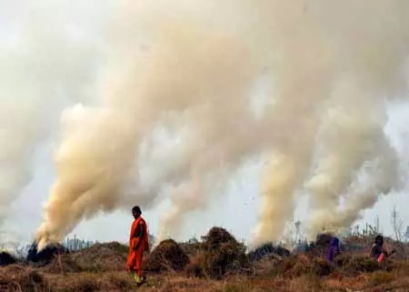 पंजाब में अब तक 70 पराली जलाने के मामले, 20 किसानों पर एफआईआर पंजाब में अब तक 70 पराली जलाने के मामले, 20 किसानों पर एफआईआर