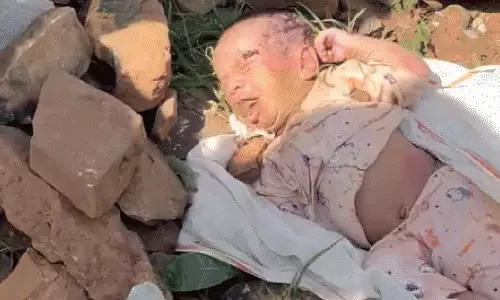 Rajasthan: 15 दिन के नवजात के मुंह में डाला पत्थर,जंगल में फेंका Rajasthan: 15 दिन के नवजात के मुंह में डाला पत्थर,जंगल में फेंका