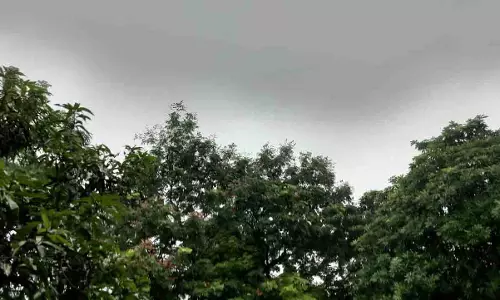 रायपुर में झमाझम बारिश, जानें वेदर अपडेट