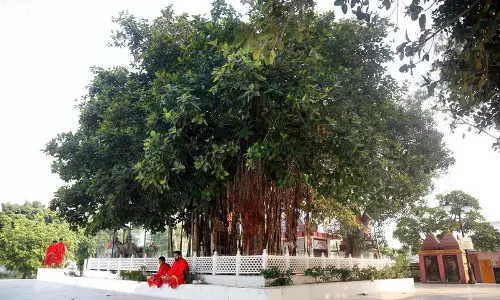 Haryana : ज्योतिसर के प्रतिष्ठित बरगद के पौधे देश भर में लगाए जाएंगे Haryana : ज्योतिसर के प्रतिष्ठित बरगद के पौधे देश भर में लगाए जाएंगे