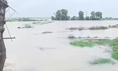 Farrukhabad: जलस्तर घटने से बाढ़ प्रभावित इलाकों में सुधार Farrukhabad: जलस्तर घटने से बाढ़ प्रभावित इलाकों में सुधार