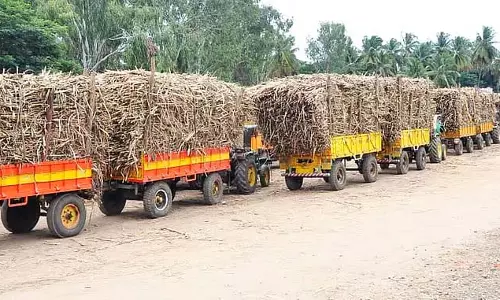 मालाप्रभा शुगर फैक्ट्री चुनाव: 15 निदेशक पदों के लिए 44 उम्मीदवार मालाप्रभा शुगर फैक्ट्री चुनाव: 15 निदेशक पदों के लिए 44 उम्मीदवार