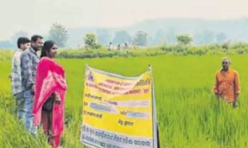 सुंदरगढ़ में जैविक खेती से नया अध्याय शुरू
