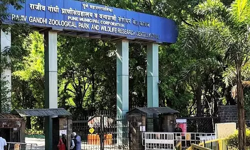 PMC कटराज चिड़ियाघर में पक्षी पार्क बनाने की योजना बना रही है, बुनियादी ढांचे में सुधार का लक्ष्य