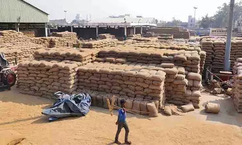 Bhagat ने शहर की अनाज मंडी में धान की खरीद शुरू की