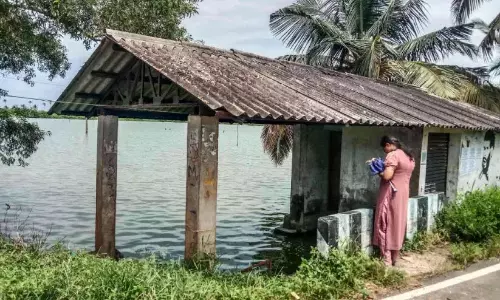 धान के खेतों में अवैध मछली पालन; निरीक्षण शुरू धान के खेतों में अवैध मछली पालन; निरीक्षण शुरू