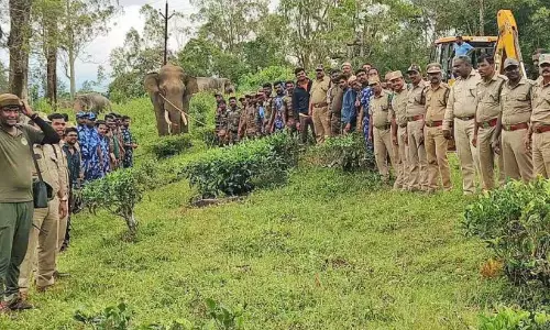 Kerala : जंगली सूअर को गोली मारकर पकड़ा गया