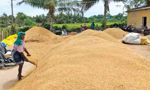 भाजपा ने Tamil Nadu सरकार से धान खरीद केंद्रों में भ्रष्टाचार रोकने के लिए कानून बनाने का आग्रह किया