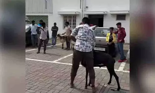 CHENNAI: इंस्टाग्राम पर राम की लड़ाई के विज्ञापन से पशु क्रूरता विवाद छिड़ा CHENNAI: इंस्टाग्राम पर राम की लड़ाई के विज्ञापन से पशु क्रूरता विवाद छिड़ा