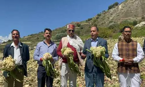 आपदा प्रभावित लाहौल घाटी का जयराम ठाकुर ने किया दौरा, प्रशासनिक व्यवस्था पर सवाल उठाए आपदा प्रभावित लाहौल घाटी का जयराम ठाकुर ने किया दौरा, प्रशासनिक व्यवस्था पर सवाल उठाए