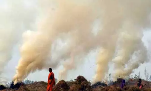 पंजाब में अब तक 70 पराली जलाने के मामले, 20 किसानों पर एफआईआर पंजाब में अब तक 70 पराली जलाने के मामले, 20 किसानों पर एफआईआर