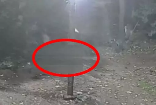 दो पत्नियों का हत्यारा, अत्यंत घिनौना काम किया, अरेस्ट दो पत्नियों का हत्यारा, अत्यंत घिनौना काम किया, अरेस्ट