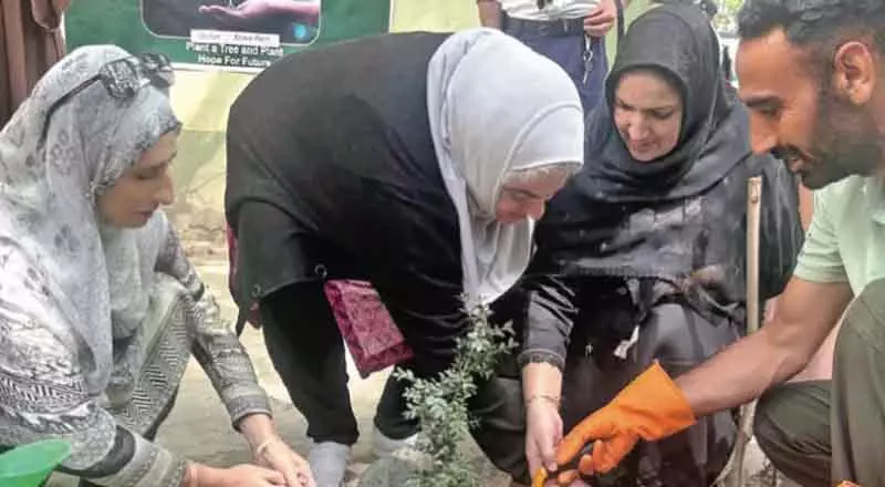 जीडीसी गांदरबल ने विशाल वृक्षारोपण अभियान का आयोजन किया जीडीसी गांदरबल ने विशाल वृक्षारोपण अभियान का आयोजन किया