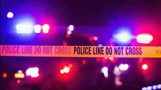 Mohali: पुलिस यार्ड में आग लगने से जब्त वाहन जलकर खाक Mohali: पुलिस यार्ड में आग लगने से जब्त वाहन जलकर खाक