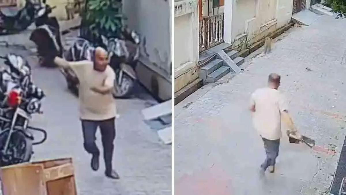 UP: हापुड़ में भाजपा नेता प्रवीण सेठी पर बंदरों ने हमला किया UP: हापुड़ में भाजपा नेता प्रवीण सेठी पर बंदरों ने हमला किया