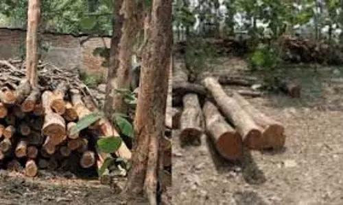 Pratapgarh :थाने के गोदाम से चोरी हुए सागौन के 73 लट्ठे गायब Pratapgarh :थाने के गोदाम से चोरी हुए सागौन के 73 लट्ठे गायब