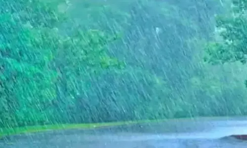 बालोद जिले में तेज बारिश का रेड अलर्ट