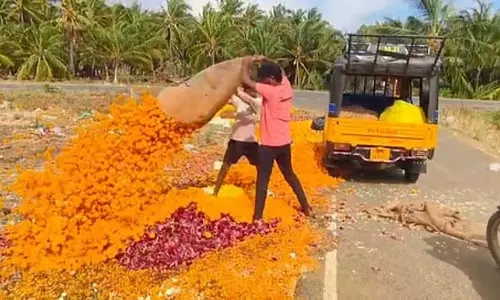 Tamil Nadu : गिरती कीमतों के कारण सड़क पर फेंके गए फूल