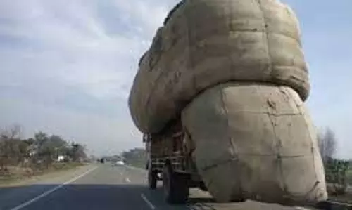 Punjab: नए मार्गों पर भारी ओवरलोड वाहनों पर  प्रतिबंध