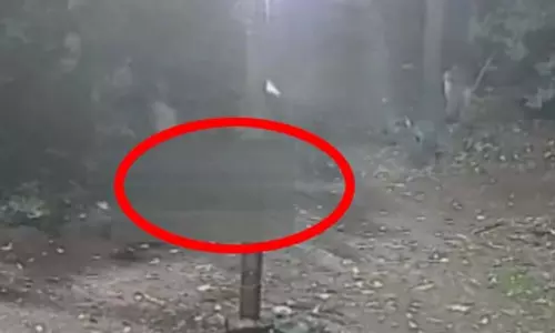 दो पत्नियों का हत्यारा, अत्यंत घिनौना काम किया, अरेस्ट दो पत्नियों का हत्यारा, अत्यंत घिनौना काम किया, अरेस्ट