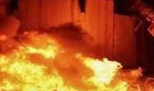 Up News: चूहे ने जला दिया पूरा घर, एक-एक सामान जलकर हुआ राख Up News: चूहे ने जला दिया पूरा घर, एक-एक सामान जलकर हुआ राख