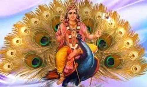 Skanda Sashti 2025: मंगल दोष से परेशान , स्कंद षष्ठी पर करें ये उपाय, दूर होंगे सारे कष्ट Skanda Sashti 2025: मंगल दोष से परेशान , स्कंद षष्ठी पर करें ये उपाय, दूर होंगे सारे कष्ट