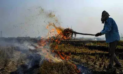 पंजाब में पराली जलाने की घटनाओं की संख्या 75 पहुंची, 27 FIR दर्ज