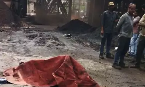 गर्म राख श्रमिक पर गिरा, प्लांट में मौत