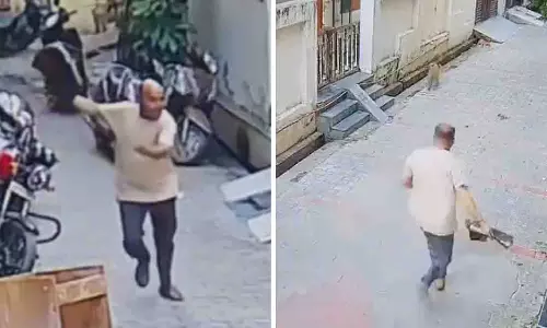 UP: हापुड़ में भाजपा नेता प्रवीण सेठी पर बंदरों ने हमला किया