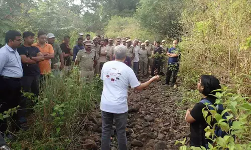 Hyderabad के वैज्ञानिक 8 करोड़ साल पुराने मेंढक गोंडवाना के रत्न को विलुप्त होने से बचाने के लिए जुटे