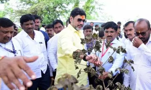 Dhananjay Munde ने प्रभावित किसान को आश्वासन दिया: बेटी की शादी पटरी पर Dhananjay Munde ने प्रभावित किसान को आश्वासन दिया: बेटी की शादी पटरी पर