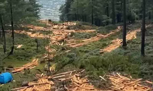 बिजली महादेव रोपवे परियोजना पर NGT ने हिमाचल, केंद्र को नोटिस जारी किया
