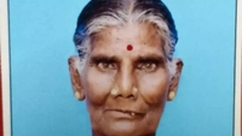 100 दिन काम करने के दौरान ततैया के डंक से बुजुर्ग महिला की मौत, 10 घायल 100 दिन काम करने के दौरान ततैया के डंक से बुजुर्ग महिला की मौत, 10 घायल
