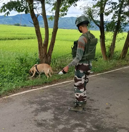 बड़ी साजिश नाकाम, डिफ्यूज किया 8.467 किलो IED बड़ी साजिश नाकाम, डिफ्यूज किया 8.467 किलो IED