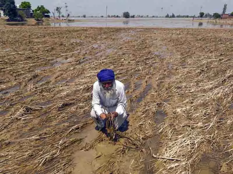 Punjab विधानसभा का सत्र बाढ़ प्रभावित किसानों के लिए राहत बढ़ाने पर विचार करेगा Punjab विधानसभा का सत्र बाढ़ प्रभावित किसानों के लिए राहत बढ़ाने पर विचार करेगा