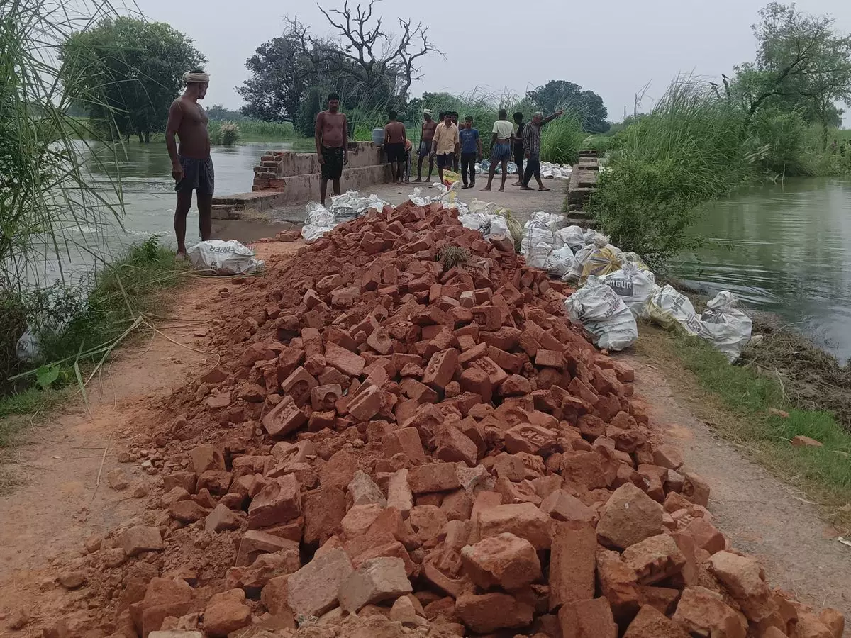 Farrukhabad: भुड़िया भेड़ा में सड़क सुधार, ग्रामीणों को मिली राहत Farrukhabad: भुड़िया भेड़ा में सड़क सुधार, ग्रामीणों को मिली राहत