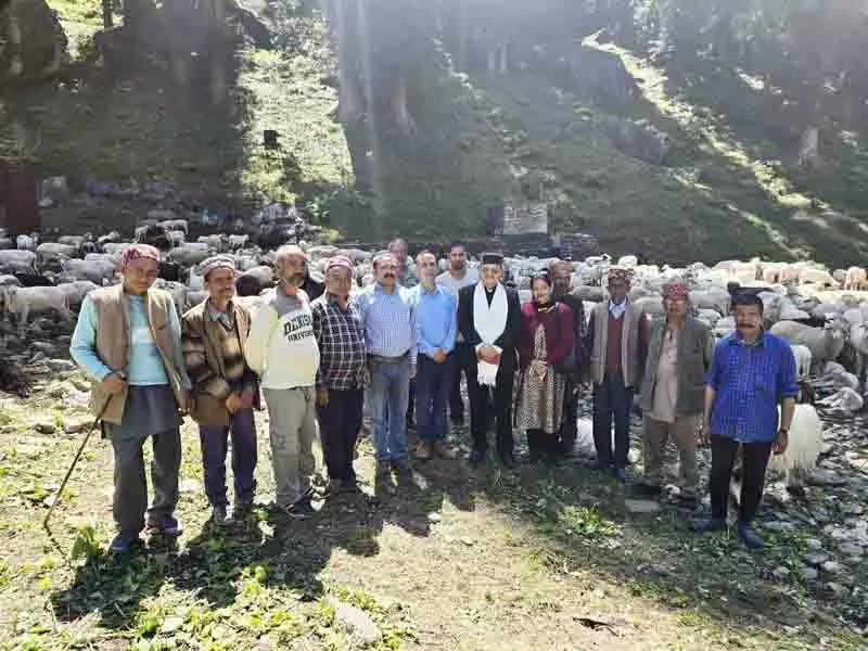 भेड़ चोरी की समस्या, Kullu DC ने त्वरित कार्रवाई और सहायता का वादा किया भेड़ चोरी की समस्या, Kullu DC ने त्वरित कार्रवाई और सहायता का वादा किया