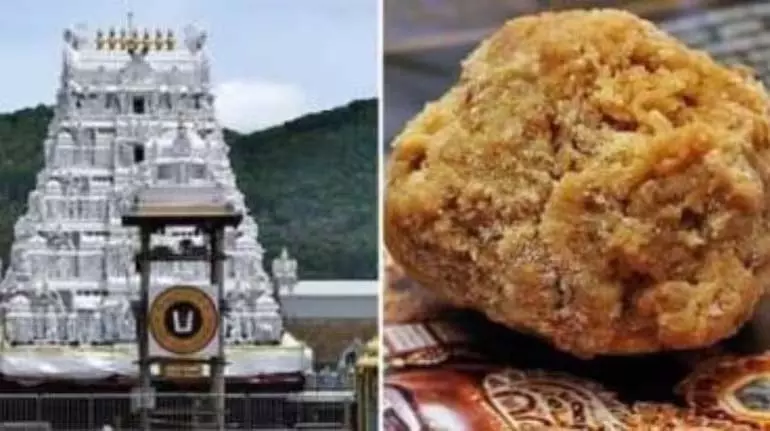 Tirupati लड्डू विवाद: सुप्रीम कोर्ट ने सीबीआई जांच पर आंध्र प्रदेश हाईकोर्ट के आदेश पर रोक लगाई Tirupati लड्डू विवाद: सुप्रीम कोर्ट ने सीबीआई जांच पर आंध्र प्रदेश हाईकोर्ट के आदेश पर रोक लगाई